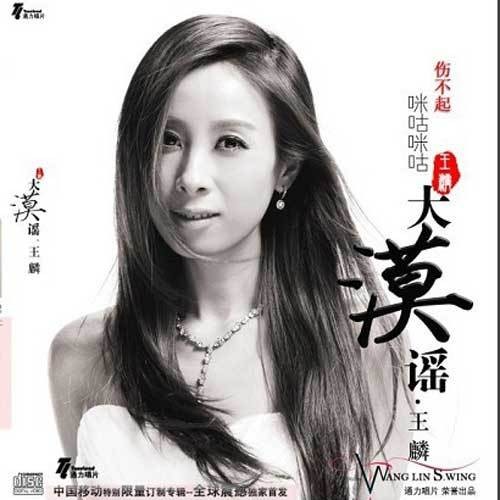 我们再也回不去（王麟、楚博仁演唱的歌曲）