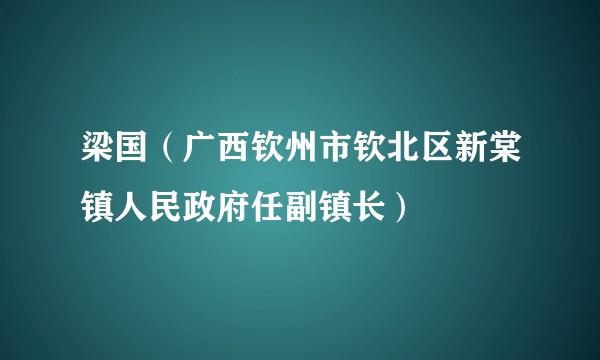 梁国（广西钦州市钦北区新棠镇人民政府任副镇长）