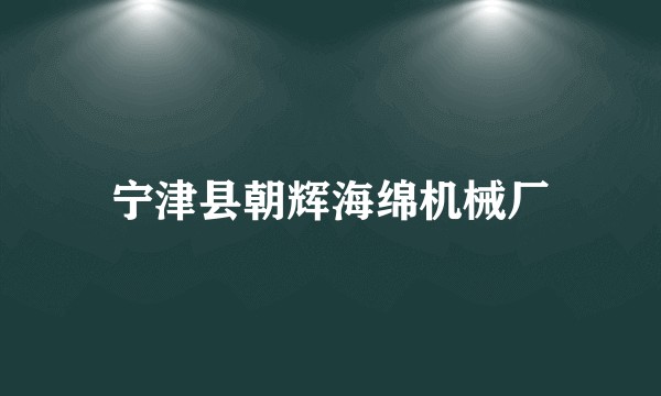 宁津县朝辉海绵机械厂