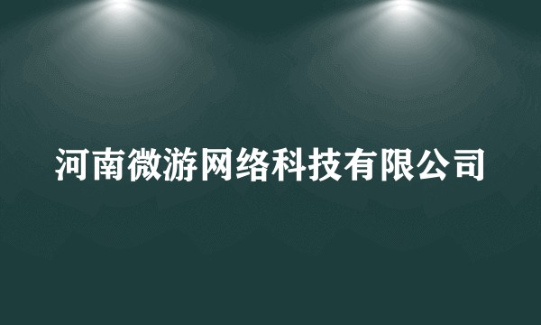 河南微游网络科技有限公司