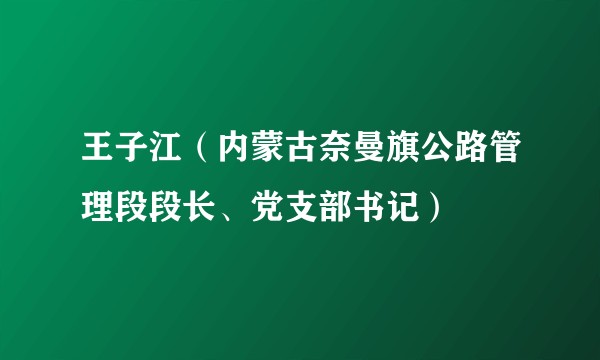 王子江（内蒙古奈曼旗公路管理段段长、党支部书记）