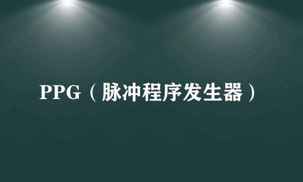 PPG（脉冲程序发生器）