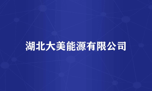 湖北大美能源有限公司
