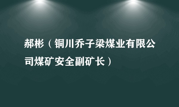 郝彬（铜川乔子梁煤业有限公司煤矿安全副矿长）