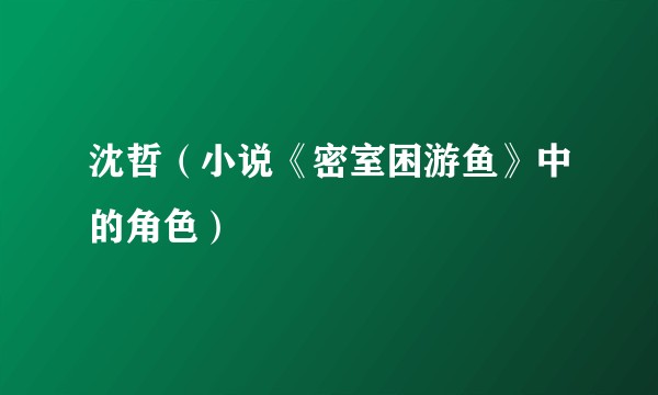 沈哲（小说《密室困游鱼》中的角色）
