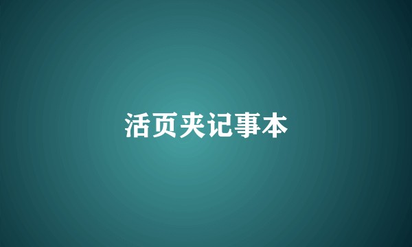 活页夹记事本