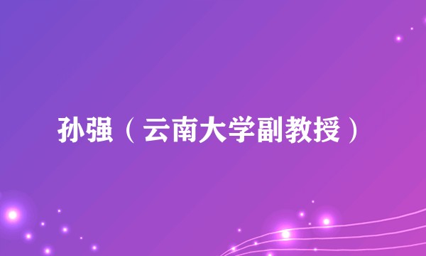 孙强（云南大学副教授）