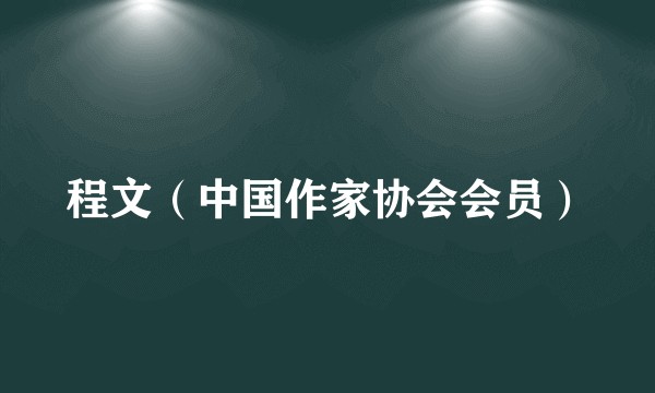 程文（中国作家协会会员）