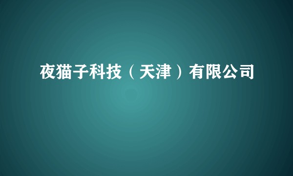 夜猫子科技(天津)有限公司