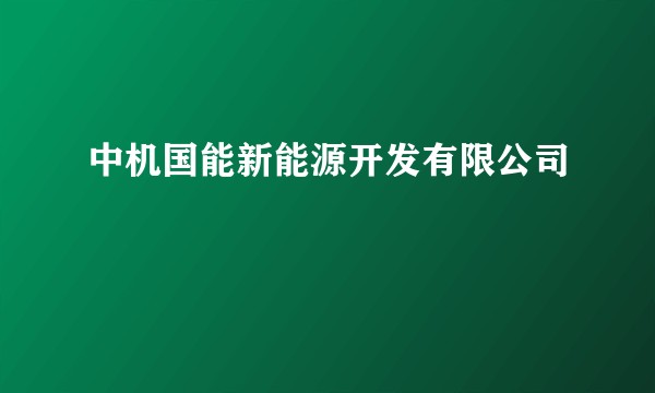 中机国能新能源开发有限公司