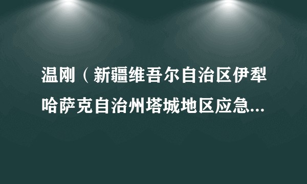 温刚（新疆维吾尔自治区伊犁哈萨克自治州塔城地区应急管理局党委副书记、局长）