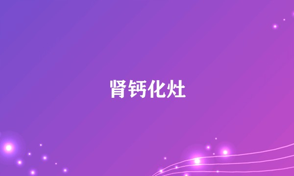 肾钙化灶