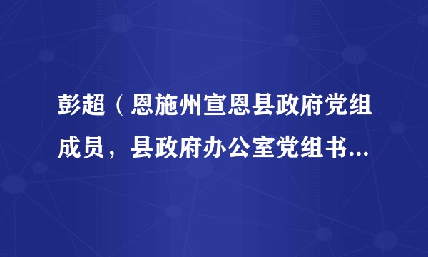 彭超（恩施州宣恩县政府党组成员，县政府办公室党组书记、主任）