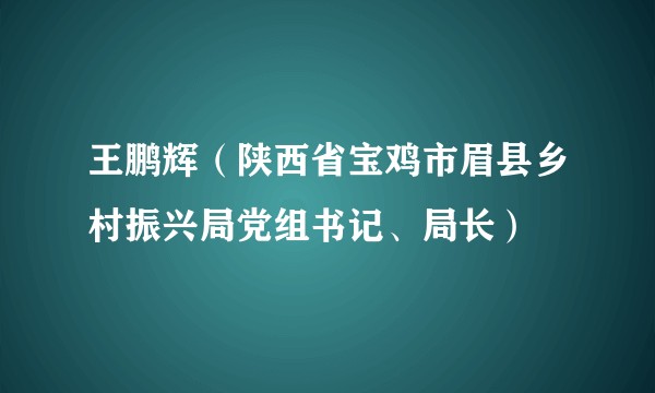 王鹏辉（陕西省宝鸡市眉县乡村振兴局党组书记、局长）