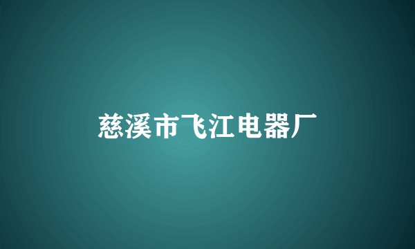 慈溪市飞江电器厂