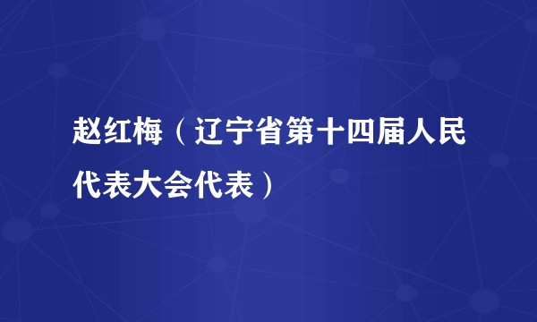 赵红梅（辽宁省第十四届人民代表大会代表）