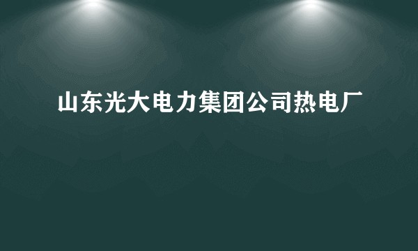 山东光大电力集团公司热电厂