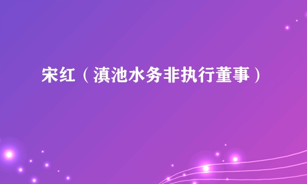 宋红（滇池水务非执行董事）