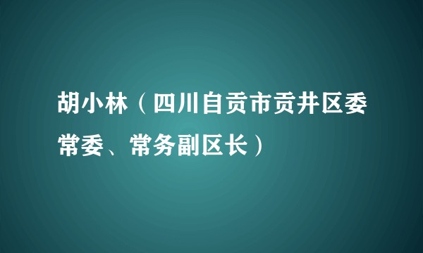 胡小林（四川自贡市贡井区委常委、常务副区长）