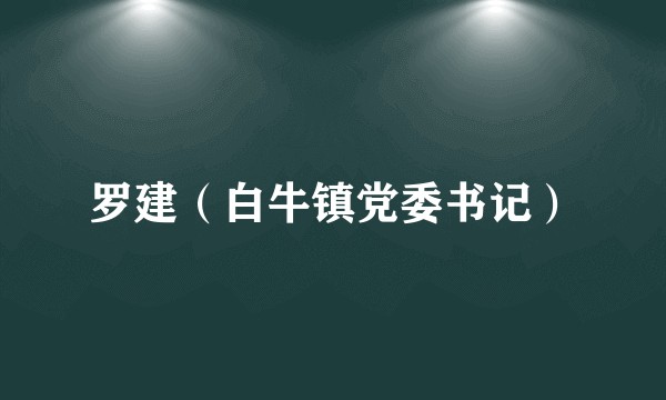 罗建（白牛镇党委书记）