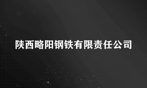 陕西略阳钢铁有限责任公司