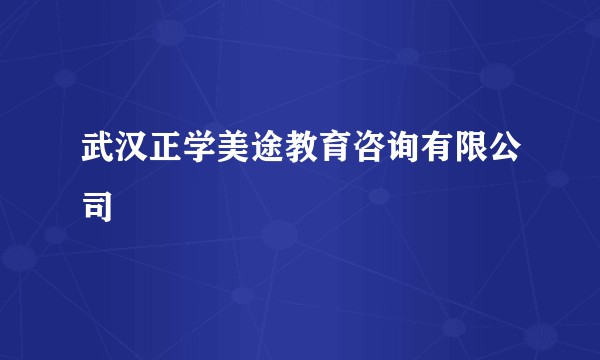 武汉正学美途教育咨询有限公司