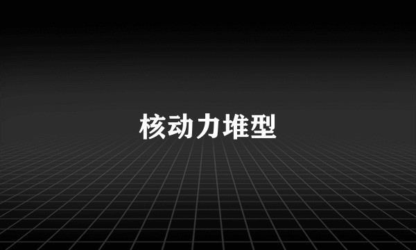 核动力堆型