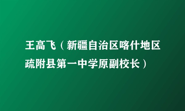 王高飞（新疆自治区喀什地区疏附县第一中学原副校长）