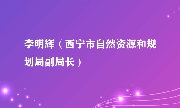 李明辉（西宁市自然资源和规划局副局长）