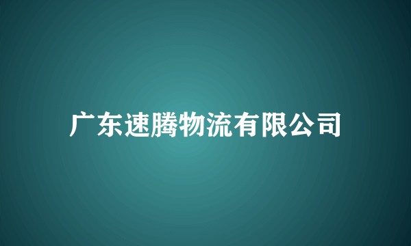 广东速腾物流有限公司