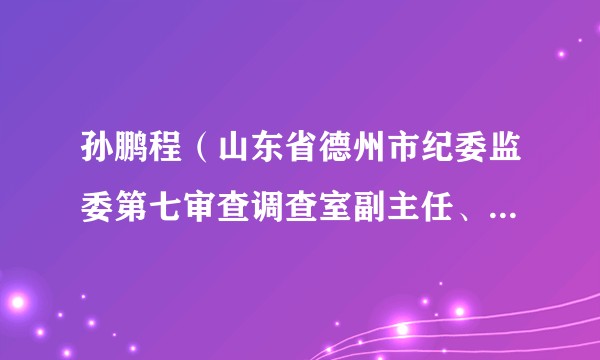 孙鹏程（山东省德州市纪委监委第七审查调查室副主任、一级主任科员）