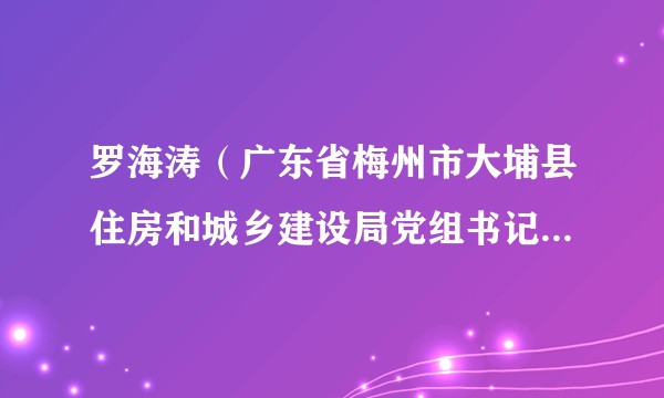 罗海涛（广东省梅州市大埔县住房和城乡建设局党组书记、局长）