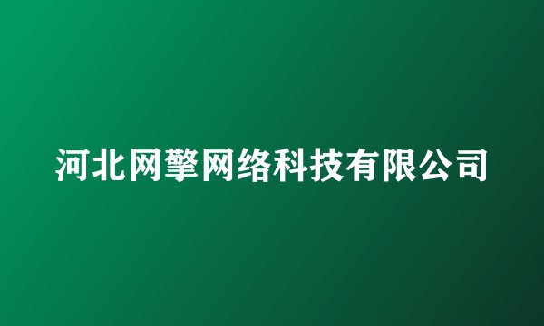 河北网擎网络科技有限公司