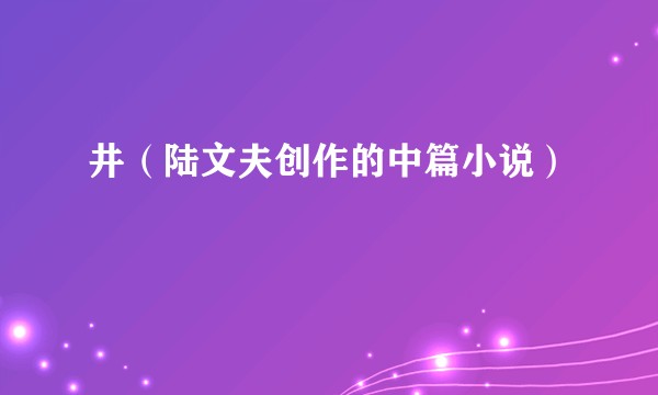井（陆文夫创作的中篇小说）
