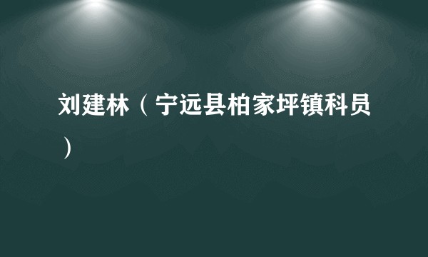 刘建林（宁远县柏家坪镇科员）