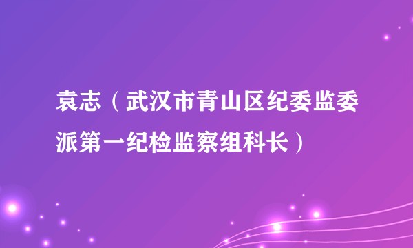 袁志（武汉市青山区纪委监委派第一纪检监察组科长）