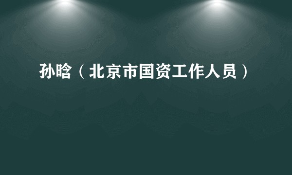 孙晗（北京市国资工作人员）