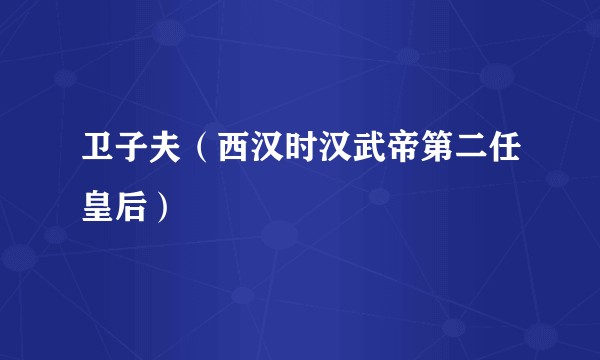 卫子夫（西汉时汉武帝第二任皇后）