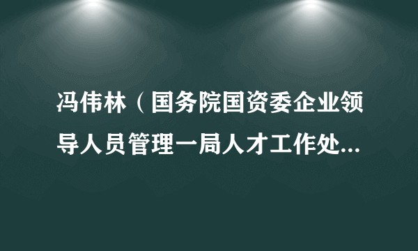 冯伟林（国务院国资委企业领导人员管理一局人才工作处（培训处）副处长）