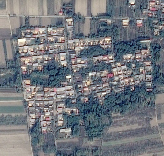 西辛庄村(河北省泊头市营子镇西辛庄村)