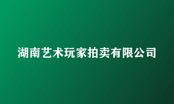 湖南艺术玩家拍卖有限公司
