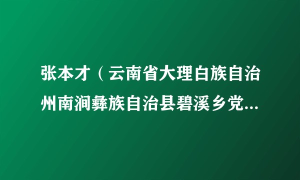 张本才（云南省大理白族自治州南涧彝族自治县碧溪乡党委副书记、乡长）