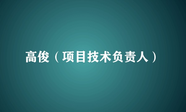 高俊（项目技术负责人）