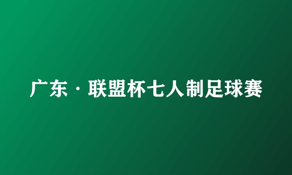广东·联盟杯七人制足球赛