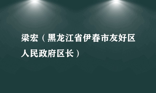 梁宏（黑龙江省伊春市友好区人民政府区长）