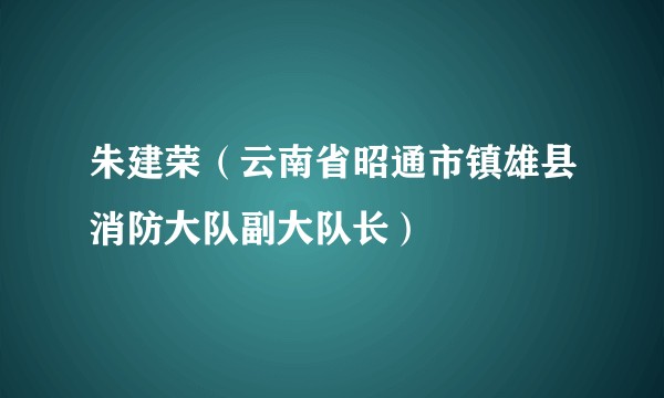 朱建荣（云南省昭通市镇雄县消防大队副大队长）