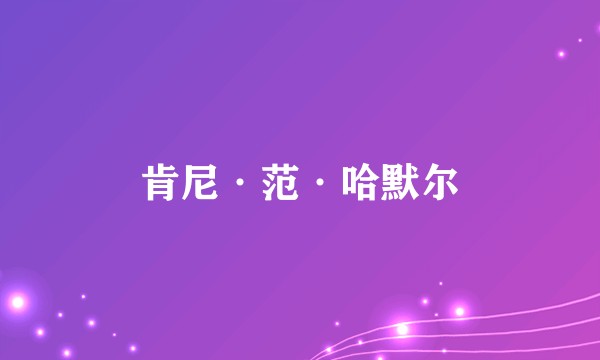 肯尼·范·哈默尔