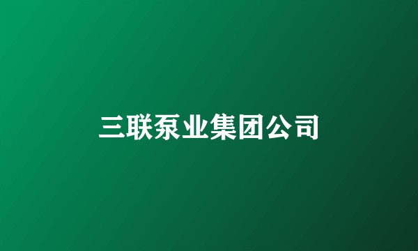 三联泵业集团公司