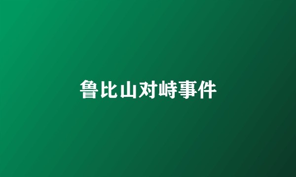 鲁比山对峙事件