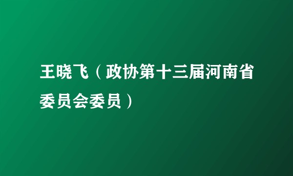 王晓飞（政协第十三届河南省委员会委员）